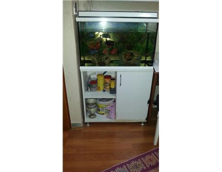komple akvarsum setı we balıklara beraber werıcem ıcındekı balıklar sadece 600 yapar 